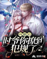闪婚后,时爷你撩到犯规了