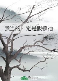 我当的一定是假领袖